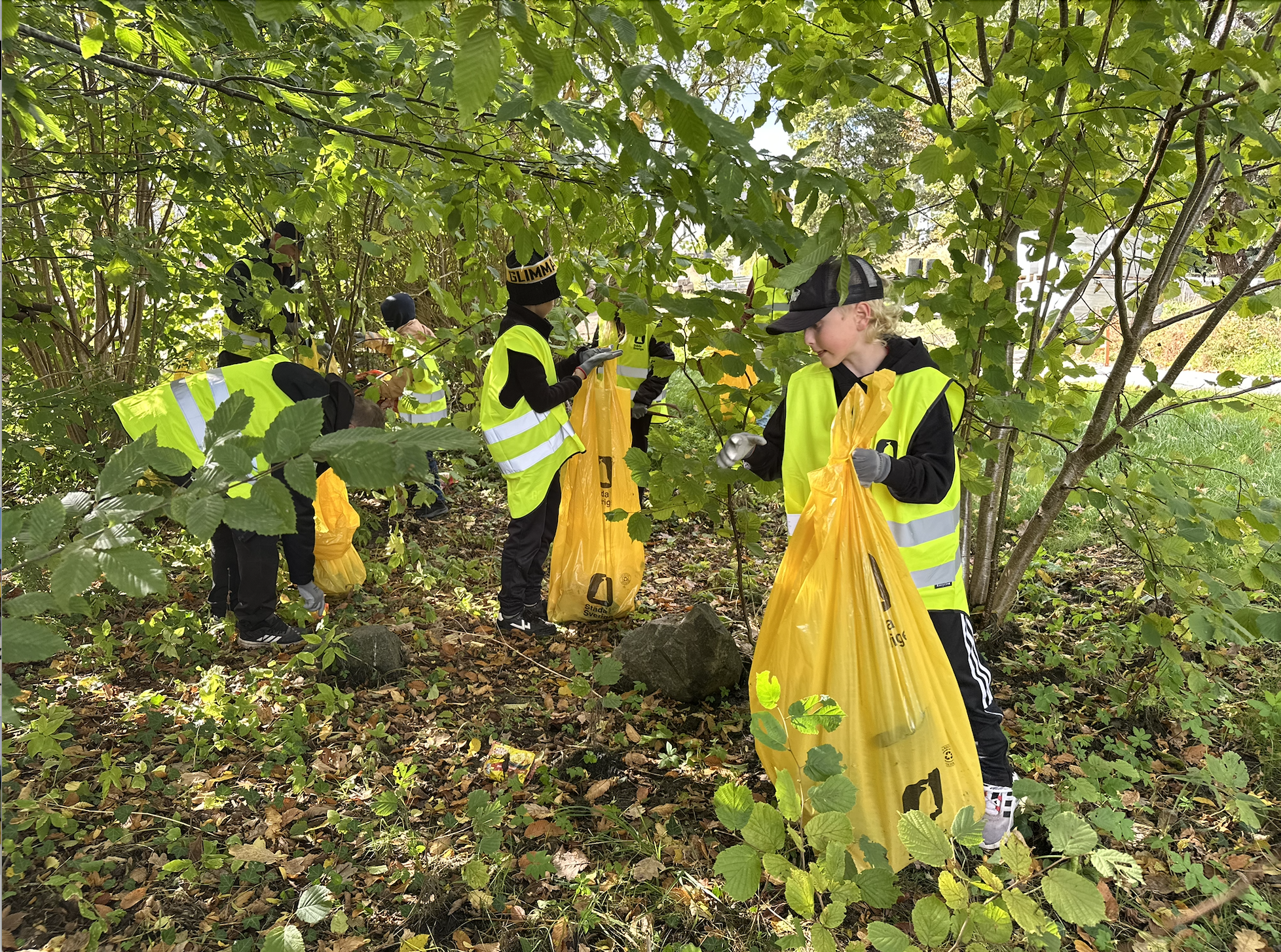 Idrottsungdomar städar Skåne för miljön och föreningslivet